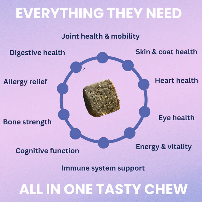 Single multivitamin soft chew surrounded by text highlighting key health benefits for pets on a purple background