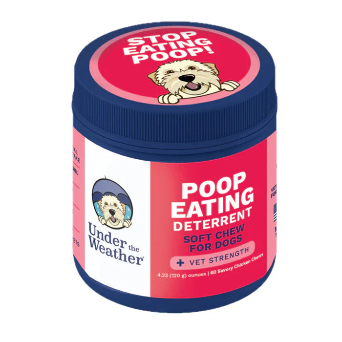 Container of soft chews designed to deter dogs from eating stool with a vet-strength natural formula