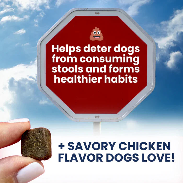 Hand holding a natural soft chew treat with text about stopping dogs from eating stools and promoting healthy habits.