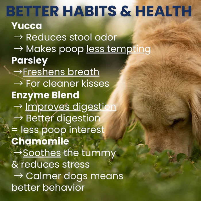 Golden retriever sniffing grass next to text highlighting natural ingredients that improve digestion and reduce stool odor
