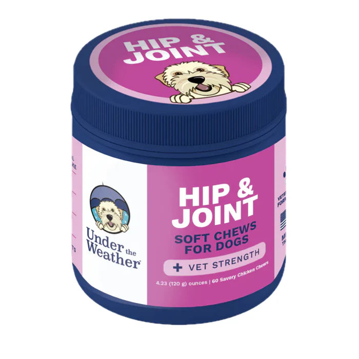 Round container with purple label featuring dog illustration and text promoting hip and joint soft chews for dogs