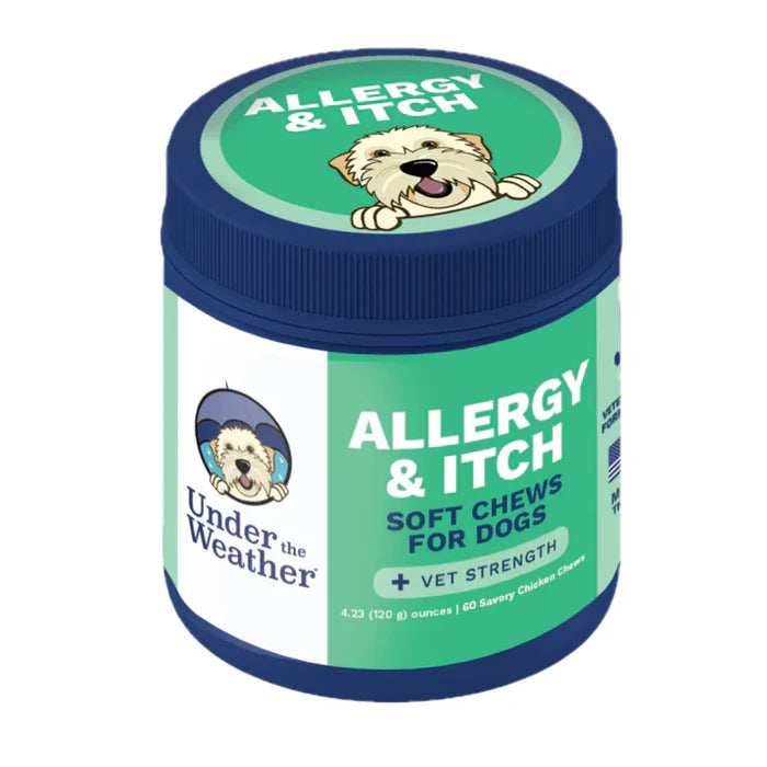 Container of vet-strength soft chews for dogs with allergy and itch relief in savory chicken flavor packaging