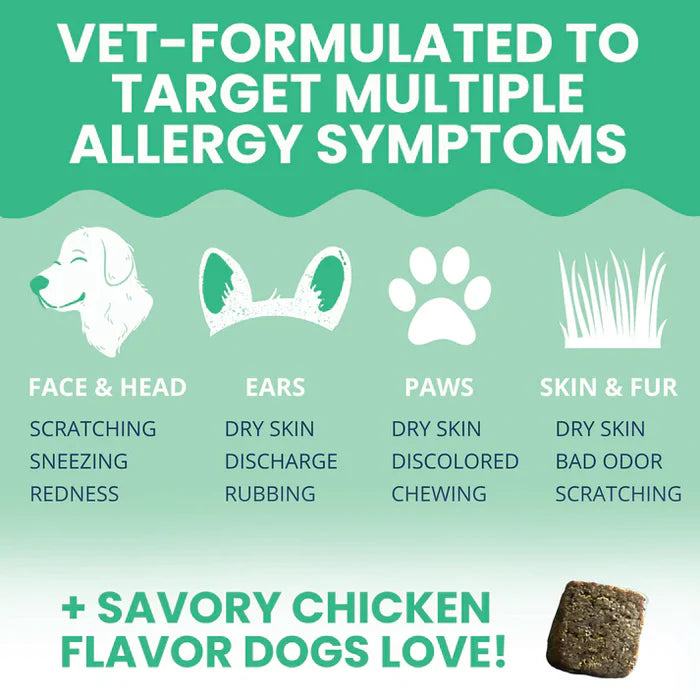 Graphic showing allergy symptoms in dogs affecting face, ears, paws, and skin with a chicken-flavored chew illustration