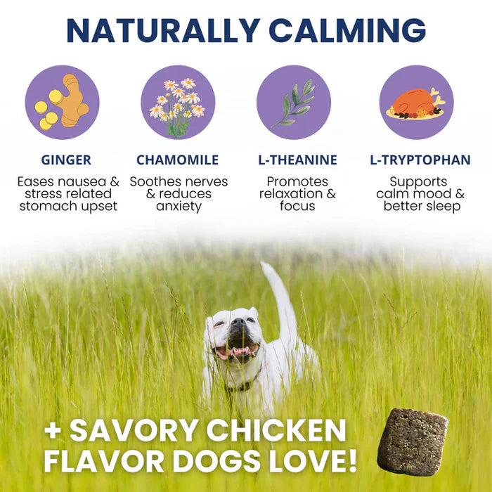 Happy dog running through tall grass below natural calming ingredients and savory chicken flavor chew visuals