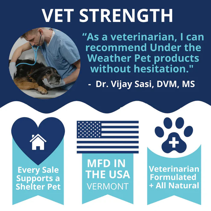 Veterinarian endorsing natural calming pet products made in the USA with support for shelter pets.
