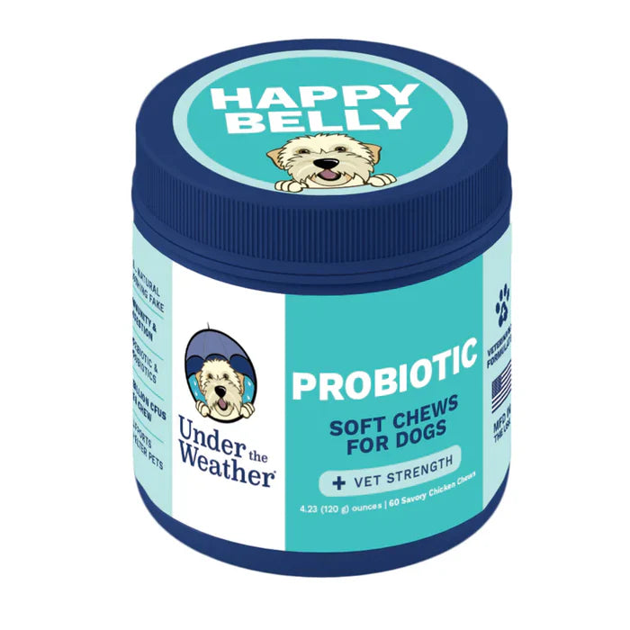 Container of vet-strength probiotic soft chews designed to support digestive health in dogs with natural ingredients