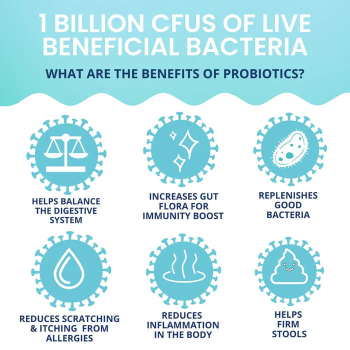 Infographic highlighting six benefits of probiotics including digestive balance, immunity boost, and reduced inflammation.