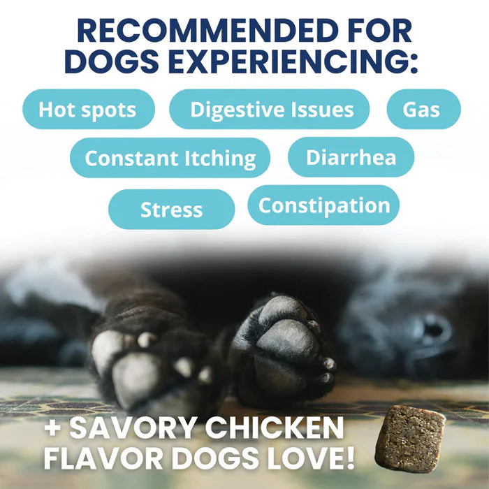 Close-up of dog paws resting on floor with text listing digestive and skin issues the probiotic chew supports relief for.