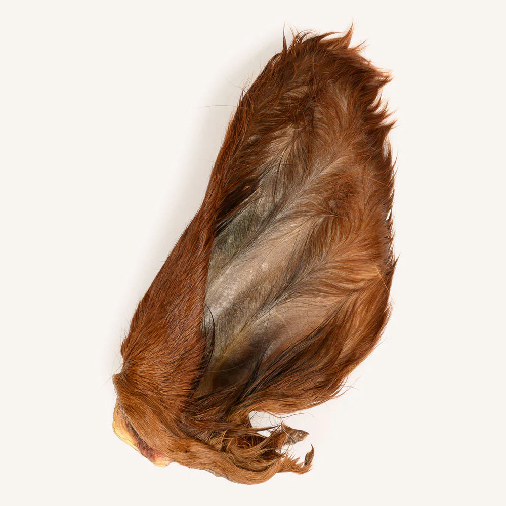 A single, large, hairy brown cow ear dog chew treat shown against a plain white background.