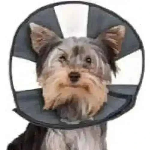 ZenPet Zen Cone Soft Recovery Collar