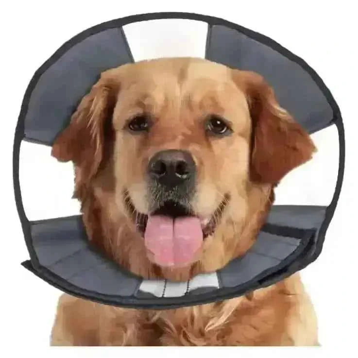 ZenPet Zen Cone Soft Recovery Collar