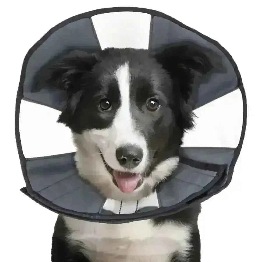 ZenPet Zen Cone Soft Recovery Collar