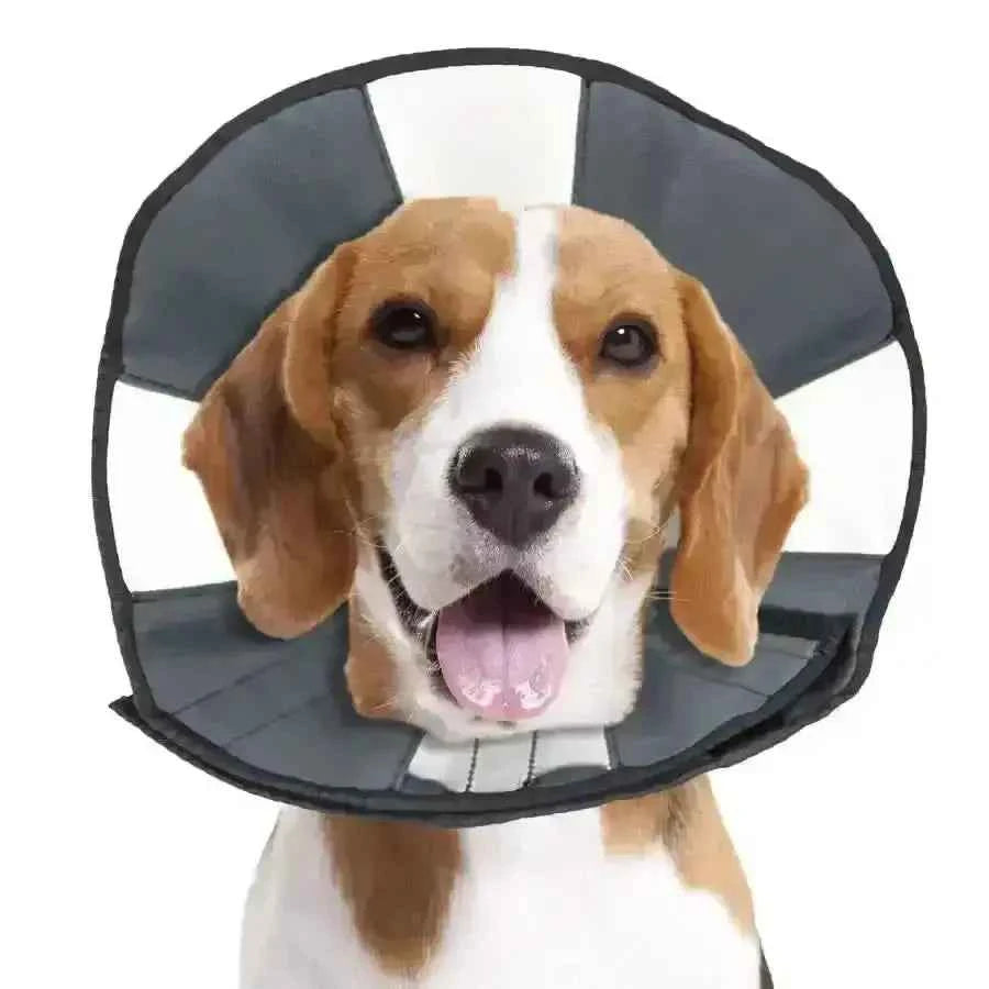 ZenPet Zen Cone Soft Recovery Collar