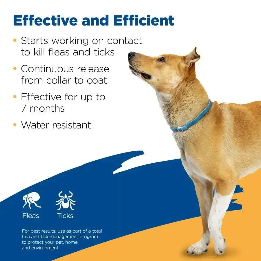 Zodiac Flea and Tick Collar for Dogs Zodiac® CPD