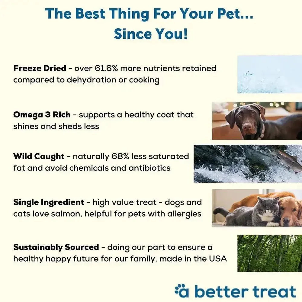 A Better Treat Freeze Dried Raw Wild Caught Salmon Dog and Cat Treats 3 oz - Talis Us