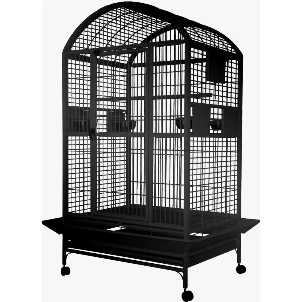 Large dome top bird cage by A&E Cage Company with spacious design for pet birds