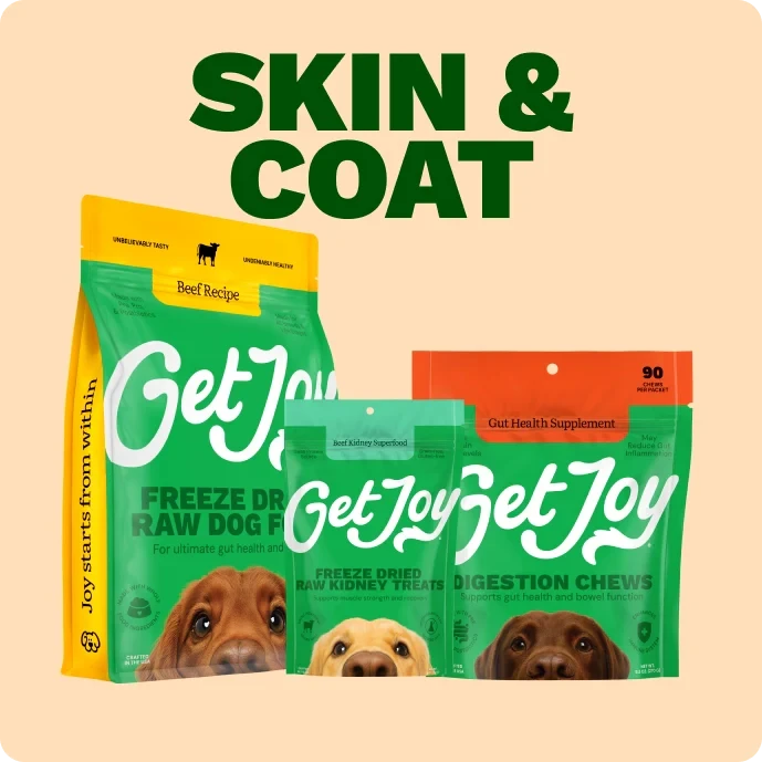 Get Joy Skin & Coat Bundle featuring freeze dried dog food, kidney treats, and digestion chews.