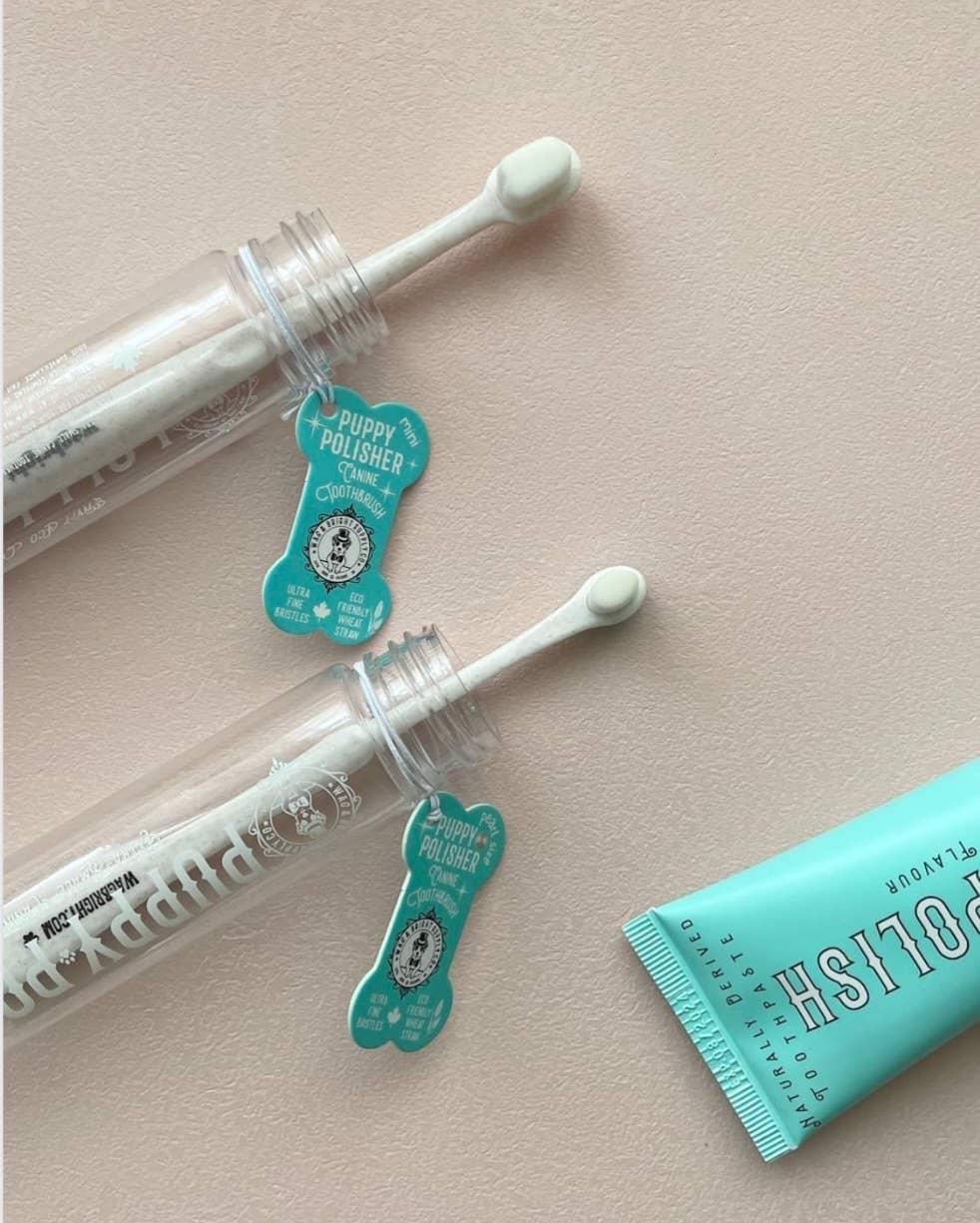 Two Wag & Bright Puppy Polisher Eco Toothbrushes in clear cases next to a tube of toothpaste.