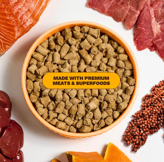 Bowl of dry dog food surrounded by fresh salmon, beef, organ meat, pumpkin, and superfoods.