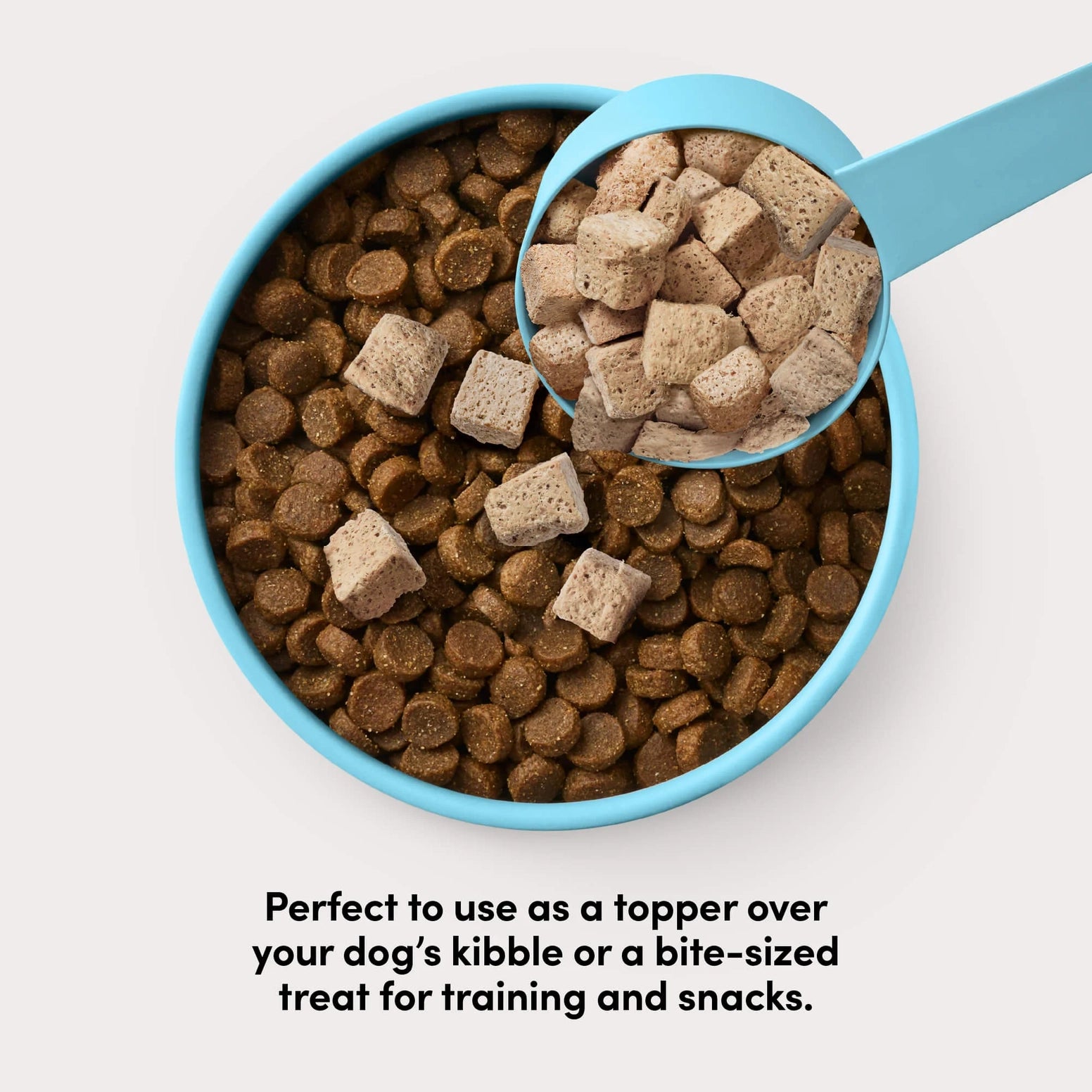 Blue scoop filled with beef freeze-dried raw dog food cubes over a bowl of brown kibble on white background