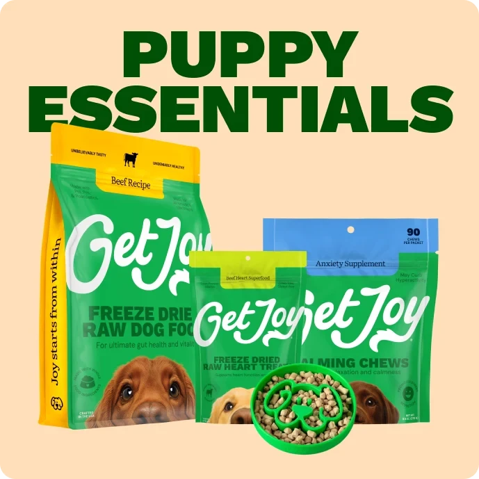 Get Joy Puppy Essentials Bundle