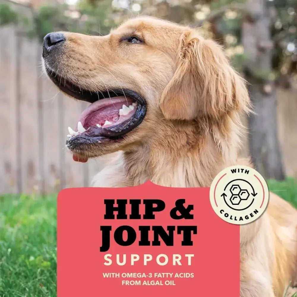 Acana Chewy Strips Hip & Joint Support Dog Treats 4 oz - Talis Us