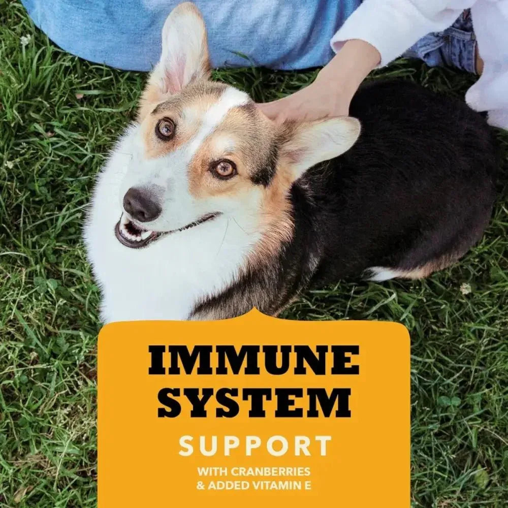 Acana Chewy Strips Immune System Support Dog Treat - Talis Us