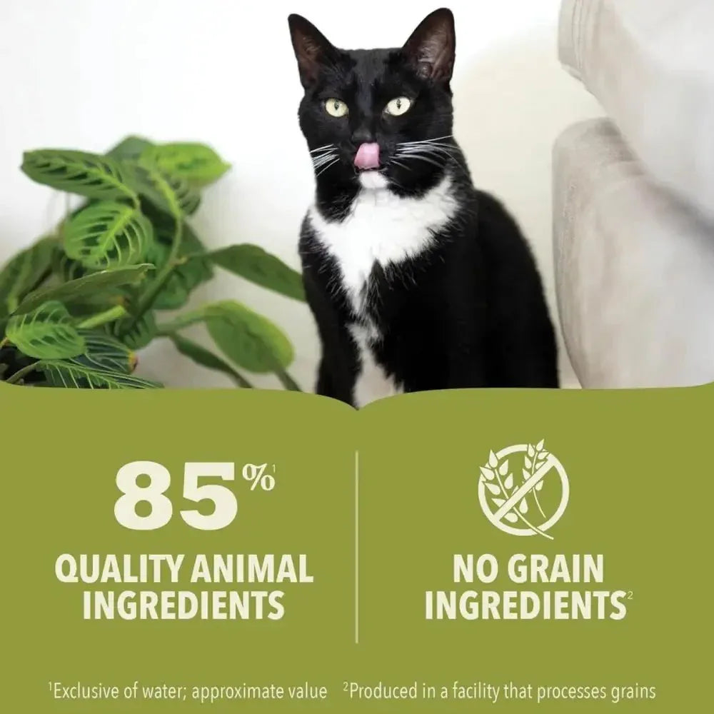 ACANA Premium Salmon and Chicken in Bone Broth Pate Wet Cat Food - Talis Us