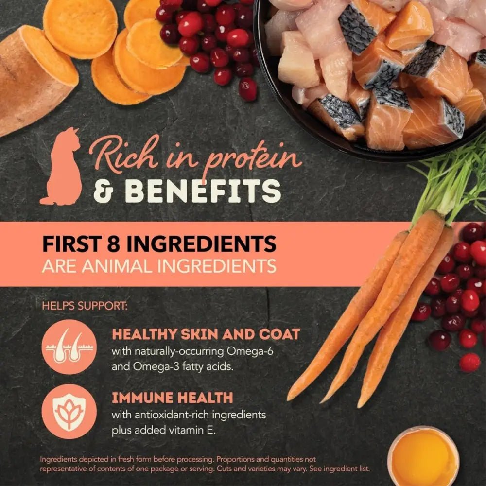 ACANA Salmon and Chicken Chunks in Broth Wet Cat Food - Talis Us