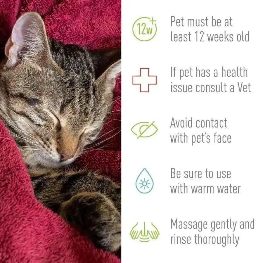 Adams Flea and Tick Cleansing Shampoo for Cats and Dogs 12 oz Adams CPD