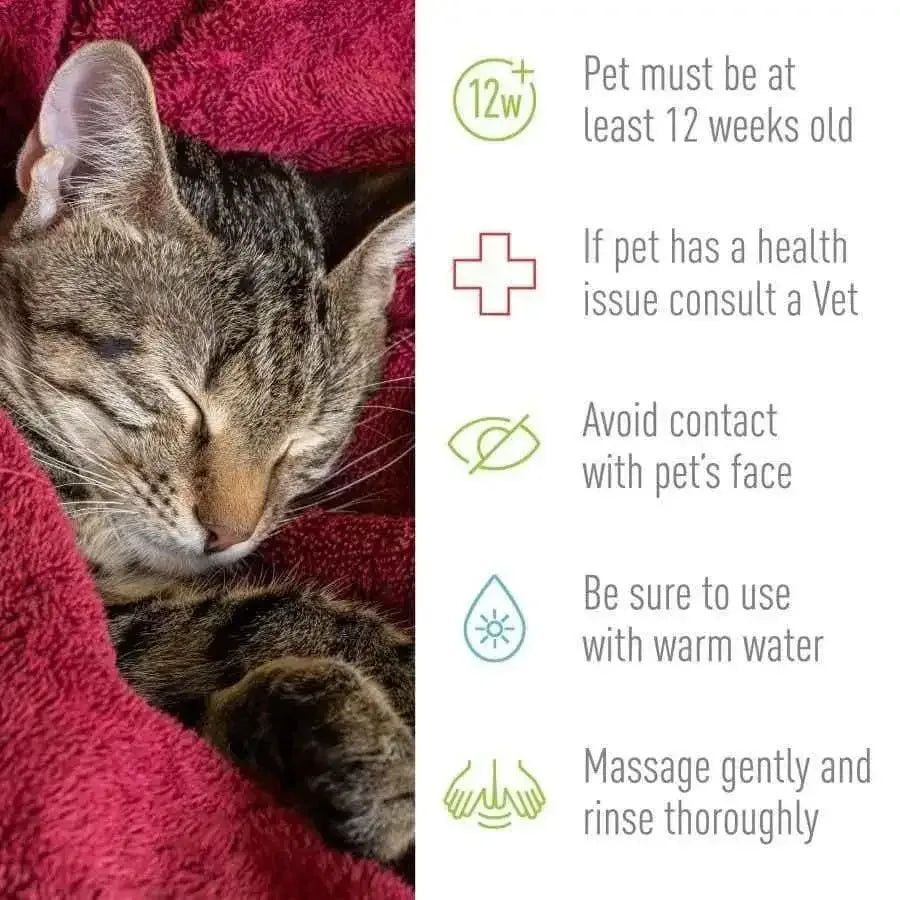 Adams Flea and Tick Cleansing Shampoo for Cats and Dogs 12 oz Adams CPD