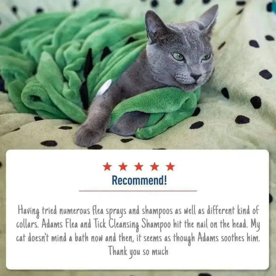 Adams Flea and Tick Cleansing Shampoo for Cats and Dogs 12 oz Adams CPD