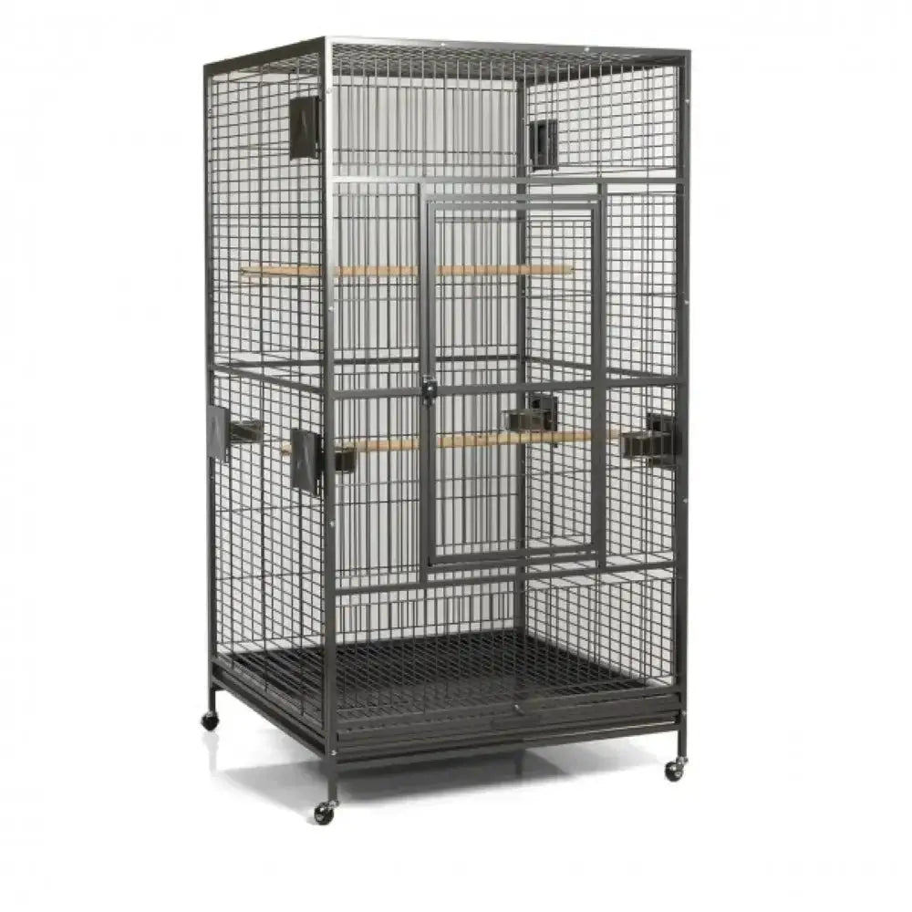 A&E Cage XLarge Macaw Flight Cage Bird Cages for Parrots, Parakeets & Cockatiels - Talis Us