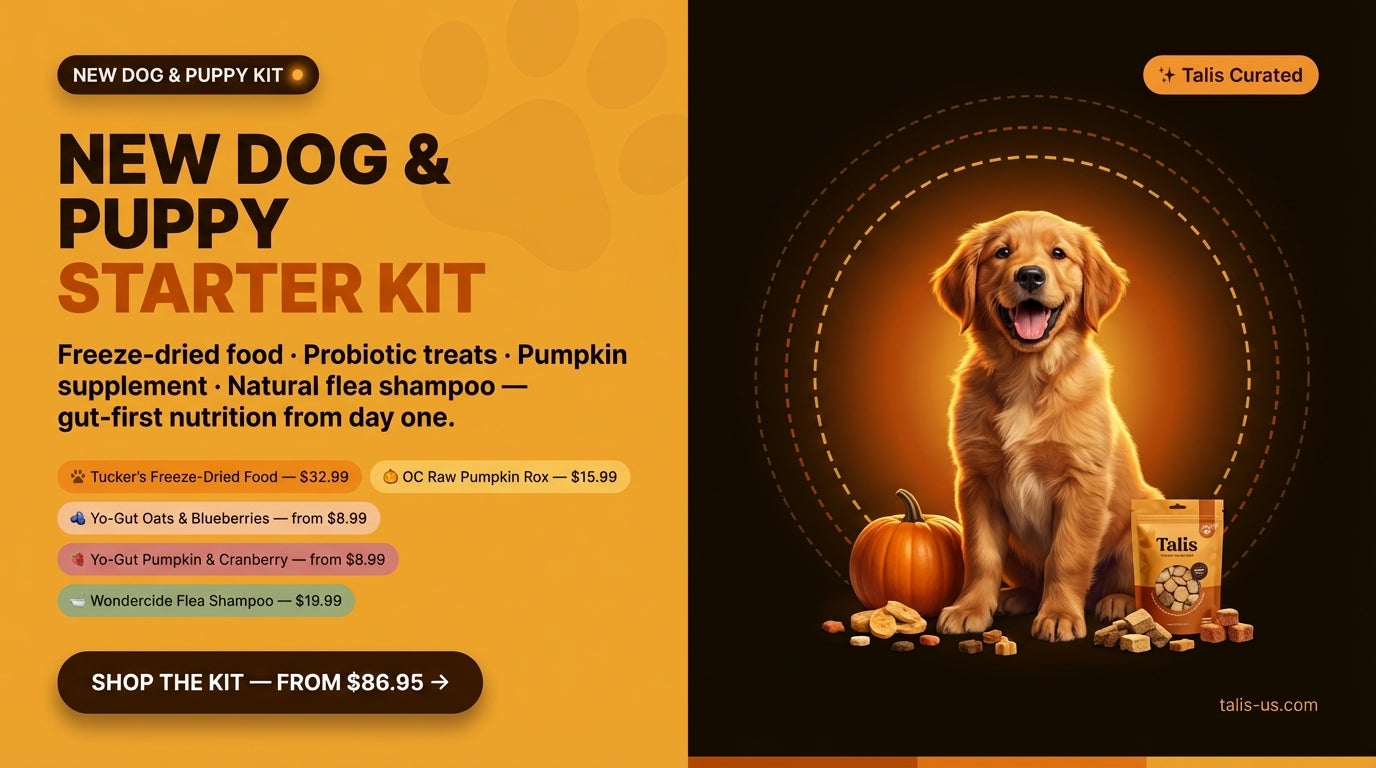 Golden retriever puppy surrounded by natural dog food, treats, and pumpkin supplement on dark background