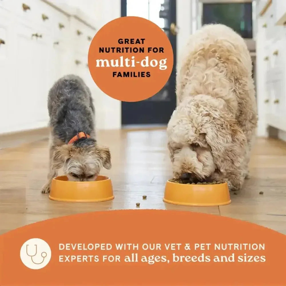 All Life Stages Dry Dog Food, Real Lamb & Ancient Grains Recipe - Talis Us