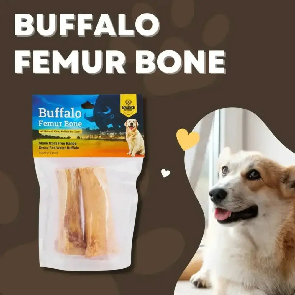 All Natural Water Buffalo Femur Bone Chew for Dogs - Talis Us