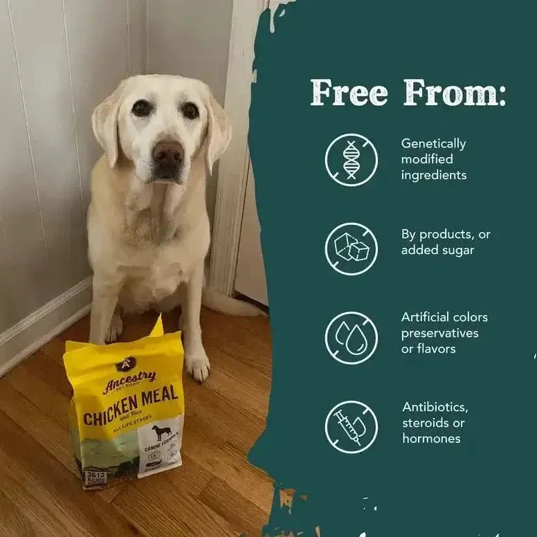 Ancestry Pet Food Chicken Meal & Brown Rice Formula Dry Kibble Dog Food - Talis Us