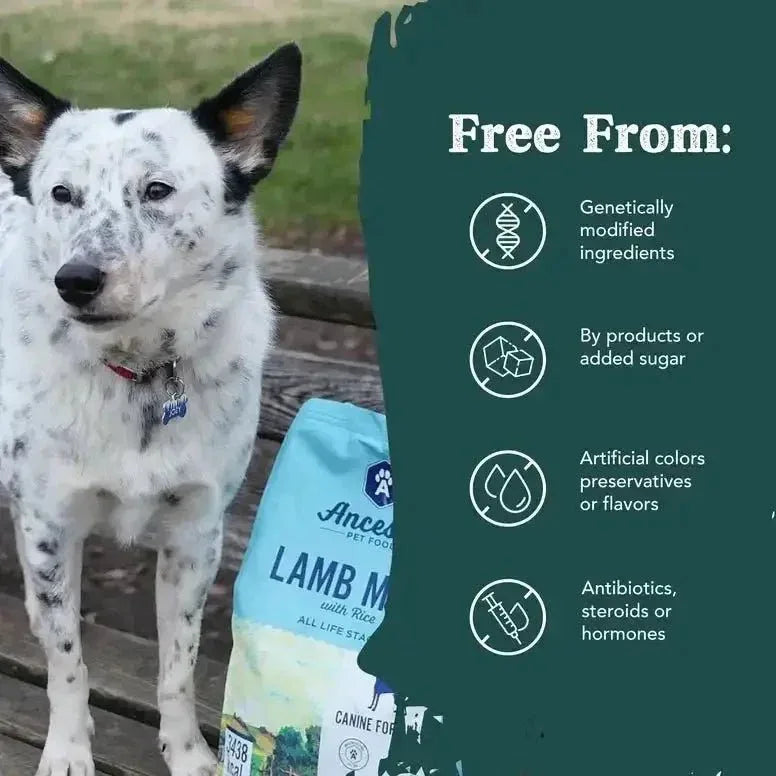 Ancestry Pet Food Lamb Meal & Brown Rice Formula Dry Kibble Dog Food - Talis Us