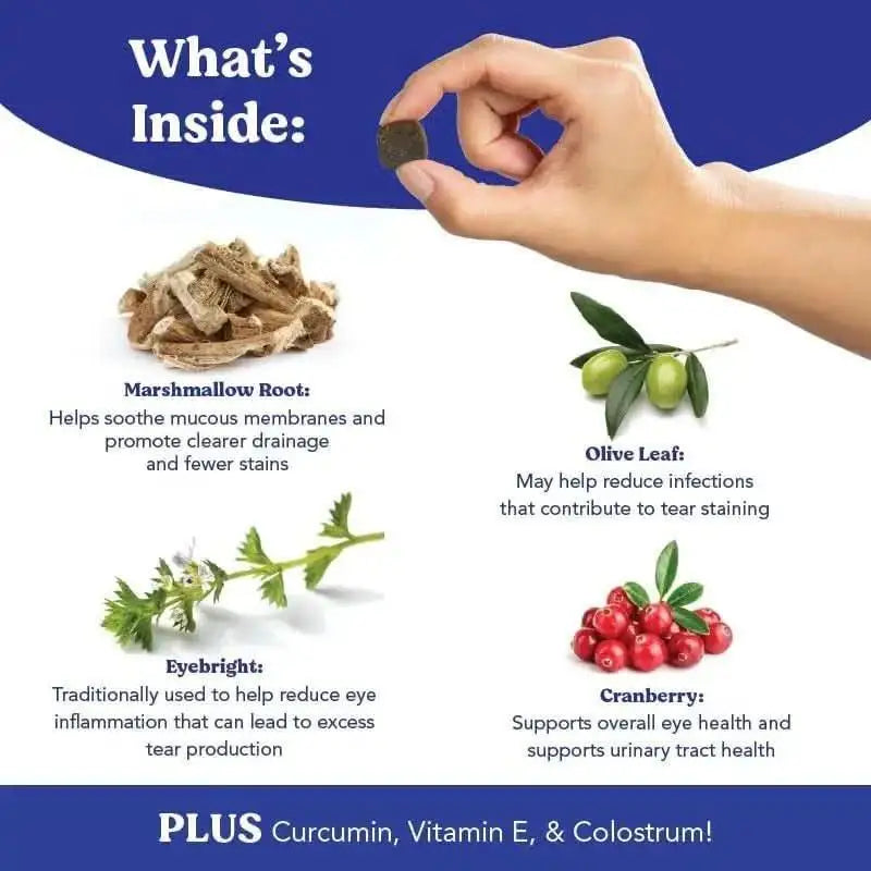 Angels' Eyes Natural Plus Tear Stain Beef Flavored Soft Chew Supplement for Dogs 90ct - Talis Us