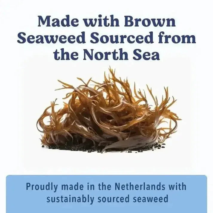 Angels' Eyes Sea Sticks Multi - Benefit Dog Treats - Talis Us