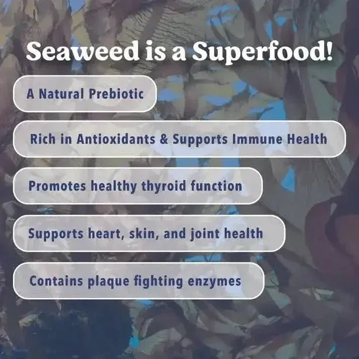 Angels' Eyes Sea Sticks Multi - Benefit Dog Treats - Talis Us