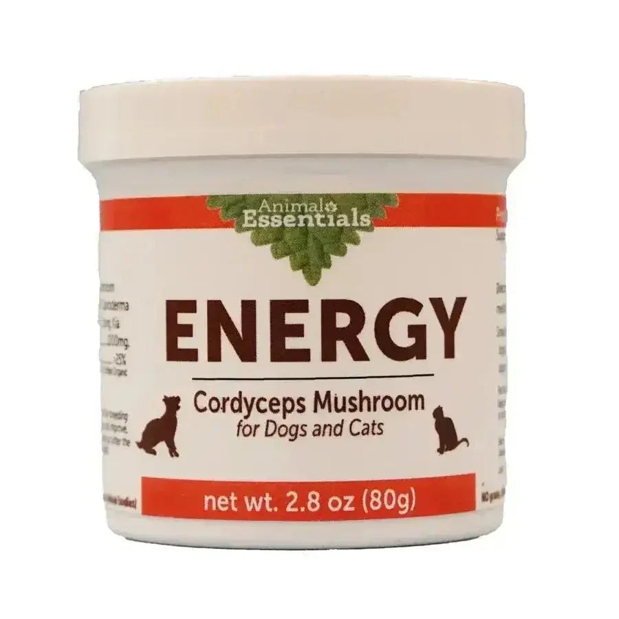 Animal Essentials Energy Cordyceps Mushroom Cat & Dog Vitamin Supplement - Talis Us