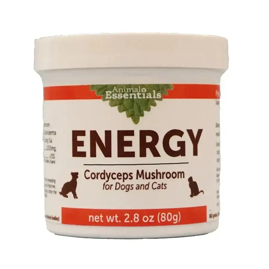 Animal Essentials Energy Cordyceps Mushroom Cat & Dog Vitamin Supplement - Talis Us