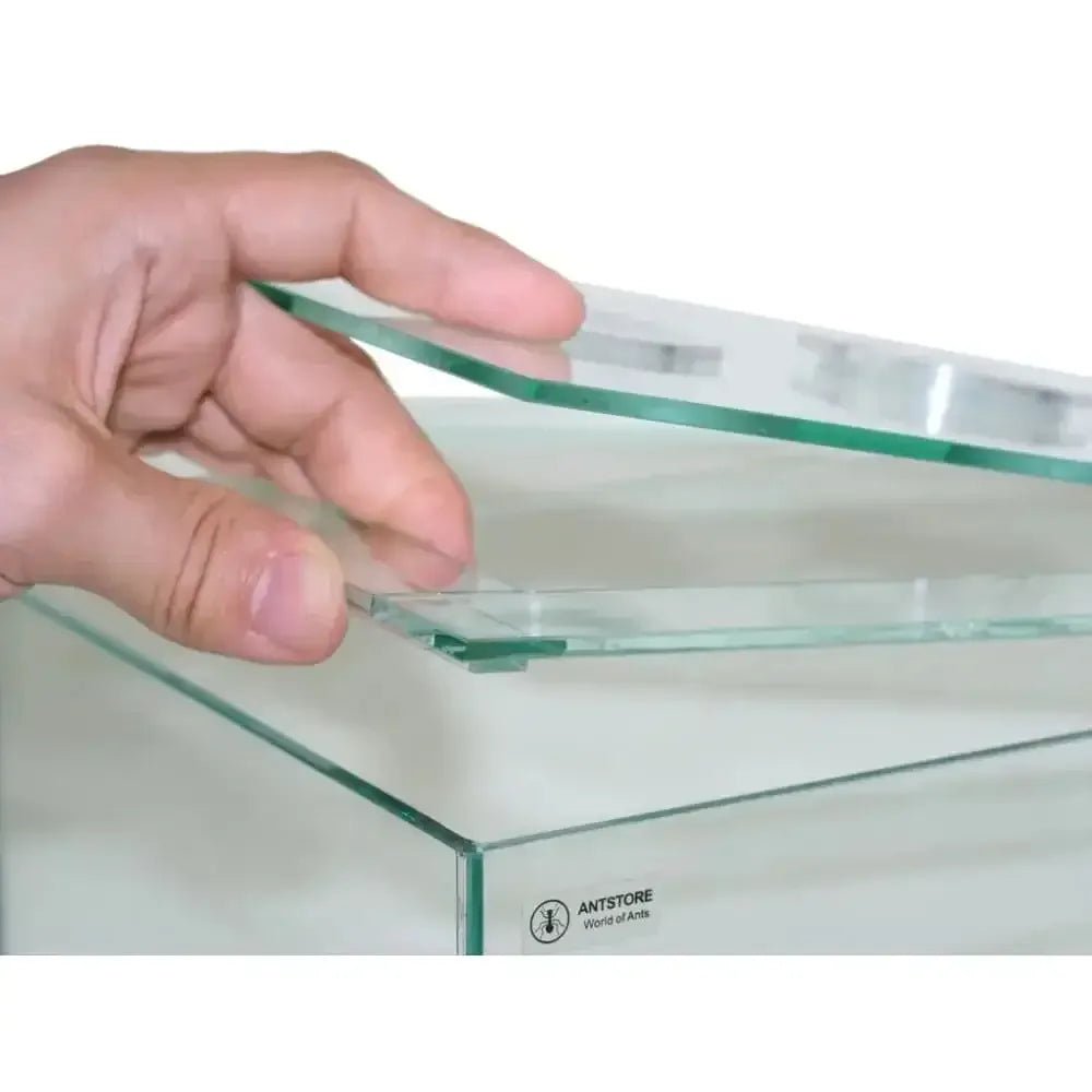 Ant arena frame 30x30cm - Talis Us