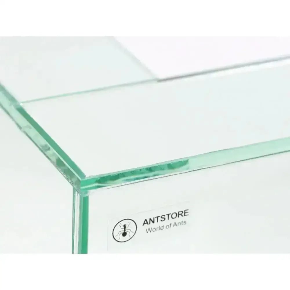 Ant arena frame 30x30cm - Talis Us