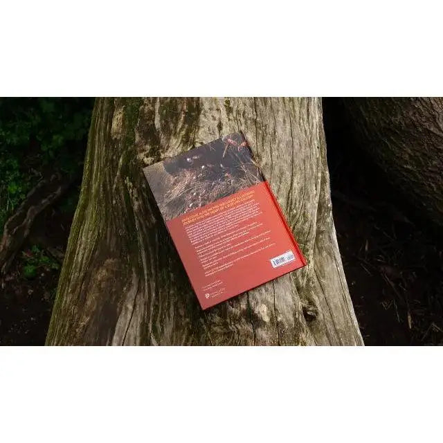 The Ant Collective: Inside the World of an Ant Colony by Armin Schieb - Talis Us