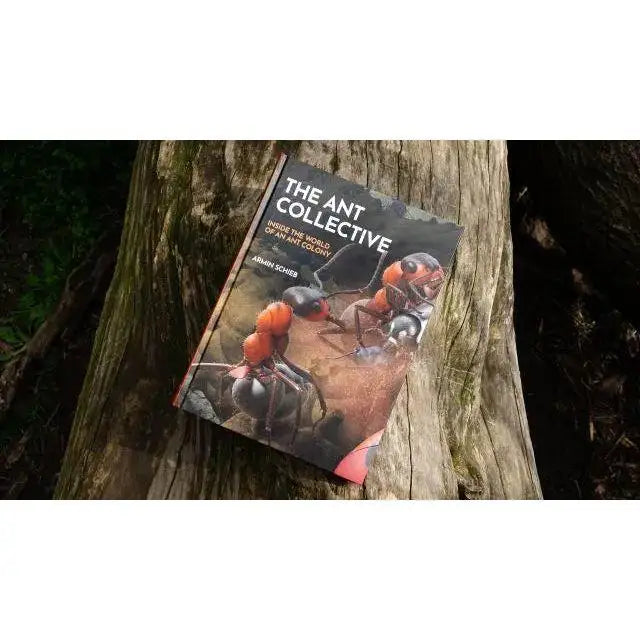 The Ant Collective: Inside the World of an Ant Colony by Armin Schieb - Talis Us
