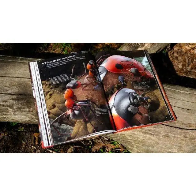 The Ant Collective: Inside the World of an Ant Colony by Armin Schieb - Talis Us