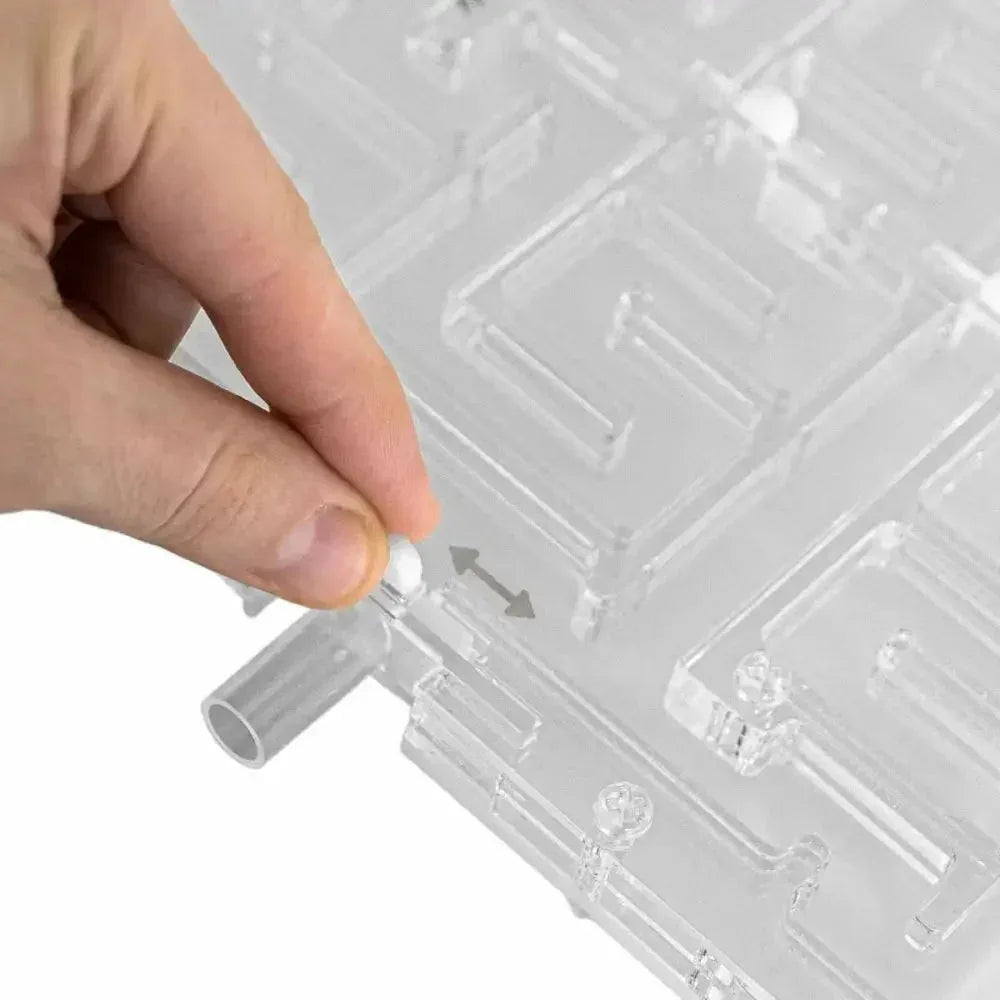 Ant Maze 20×20 - Talis Us