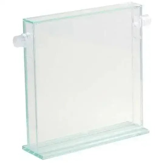 ANTCUBE - Ants Farm - 20x20cm - standing - Talis Us